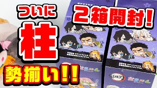 【鬼滅の刃】ついに柱勢ぞろい！だる～ん第三弾！２箱開封でボックス配列検証！【グッズ】