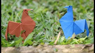 Paper Folding Art (Origami): How to Make Chicken