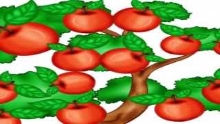 Нина, Инна - значение имени и именины  ч 1