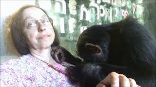 Bow Grooming Me on Oct. 20, 2018