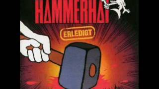 Hammerhai - Schweinebucht