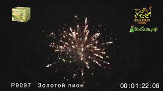 Салют ЗОЛОТОЙ ПИОН Р9097