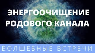 Радамир Солнечный. Энергоочищение Родового Канала