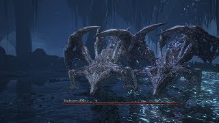 Dark Eater Midir vs Dark Eater Midir - Arena Battle Mode.