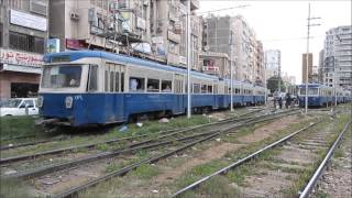 Life in Alexandria: Impressions - The Alexandria Tram