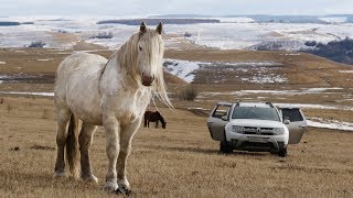 В снег на RAV4 и DUSTER. Лучший внедорожник найден )))