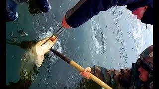 САЗАН ЗАСТРЯЛ ПЕРВЫЙ ЛЕД 2017 2018 ЛОВЛЯ ЩУКИ НА ЖЕРЛИЦЫ ЗИМОЙ ПО ПЕРВОМУ ЛЬДУ ЗИМНЯЯ РЫБАЛКА трофей