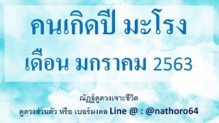 ดวงปีมะโรง|เดือนมกราคม​2563​|การเงิน​ การงาน​ ความรัก|ณัฏฐ์​ดูดวง​เจาะ​ชีวิต​|泰国算命专家
