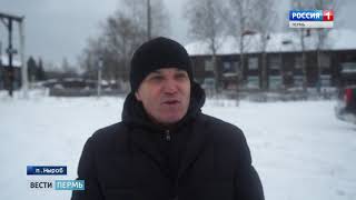 Стаи волков держат в осаде целые поселки