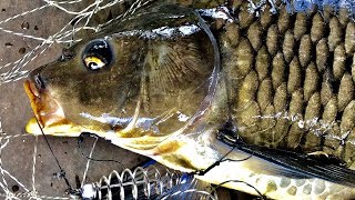 How to Make Carp Bait(145) & Feeder Rig - DIY Fishing - Mồi Cá Chép