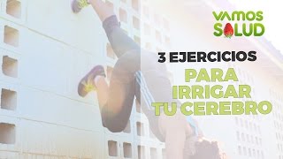 3 ejercicios Para irrigar tu cerebro con la pared del parque