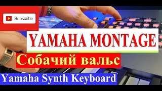 СОБАЧИЙ ВАЛЬС ★  ИГРАЕТ ПИАНИСТ ВИРТУОЗ НА YAMAHA MONTAGE #DEMO Делимся этим видео!!! ? ★