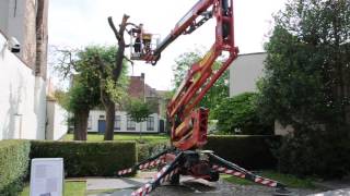 Peter Jacquemyn blaast dode perelaar nieuw leven in / Groeningetuin Brugge
