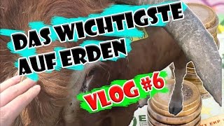 Vlog#6 Das WERTVOLLSTE auf der WELT | Mein Anliegen an euch