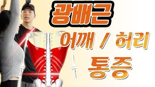 '광배근' 때문에 일어나는 어깨통증과 허리통증 해결하기!