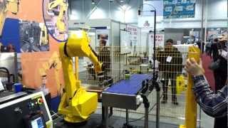 ПРОМЫШЛЕННЫЙ РОБОТ FANUC (выставка ПродСиб 2012).