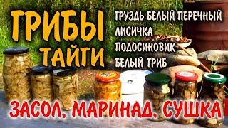 СОЛЕНЫЕ ГРИБЫ, МАРИНОВАННЫЕ ГРИБЫ, СУШЕНЫЕ ГРИБЫ В ТАЙГЕ. Заготовка грибов на год.