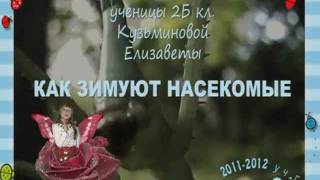 Как Зимуют Насекомые
