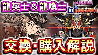 【交換・購入解説】龍契士&龍喚士ガチャキャラの交換・購入は必要か？【パズドラ】