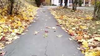 Шалунья осень