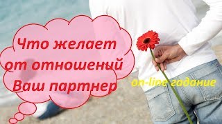 Что желает от отношений Ваш партнер. On-line гадание на картах Таро