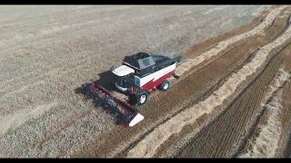 Красивые кадры зерноуборочного комбайна ACROS 585