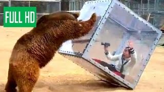 Топ самых ужасных случая нападения животных в зоопарке на людей! медведь