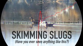 Skimming Slugs on the Water! BIZARRE footage (contains hunting)