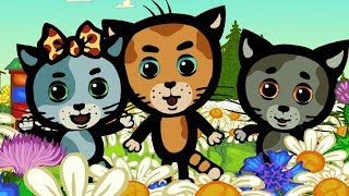 ТРИ КОТЕНКА - Все песенки о животных! - Сборник - Мультики-песни для детей