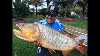 PESCA DE DOURADO EM MINAS GERAIS