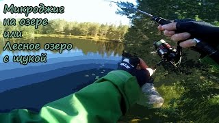 Микроджиг на озере или лесное озеро с щукой 15-16.07.2016