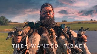 Indiana Duck Hunting Opener!! - 4 Man Limit of Green Baby!