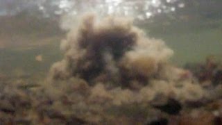 Böller unter Wasser / Underwater Fireworks - SLOW MOTION [HD]
