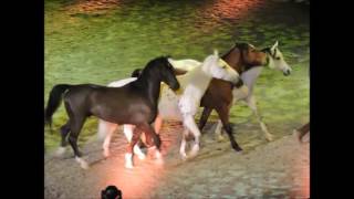 Apassionata "Cinema of Dreams" 06.01.2017