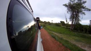 Land cruiser 105
