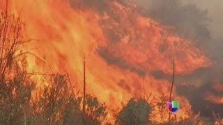 Avanza rápidamente incendio forestan en California