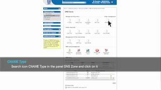 HOW TO USE YOUR OWN DOMAIN IN THE RESELLERS PRO PLATFORM: CONFIGURE YOUR DNS
