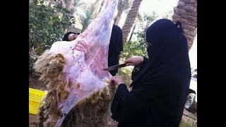 كارثة إمرأة تذبح كبش العيد فهل يجوز الأكل منه ..