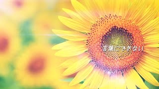 ♫ 言葉にできない／小田和正（オフコース）　Instrumental