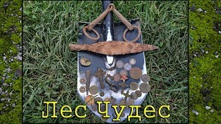 Лес Чудес