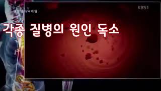 해독의중요성/뉴스킨해독 몸의변화를 느껴보세요??