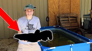 Stocking MASSIVE Mystery Fish into POOL POND!!! *Huge*