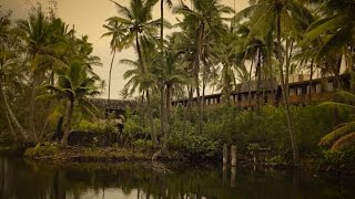 Me at Coco Palms Resort (Elvis Presley's "Blue Hawaii")