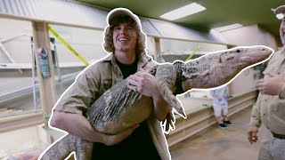Picking Up Girls with Komodo Dragon!