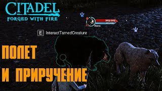 ПОЛЕТ НА МЕТЛЕ, ПРИРУЧЕНИЕ ЖИВОТНЫХ - CITADEL: FORGED WITH FIRE