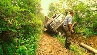 Ореховая лихорадка, начало. часть вторая!