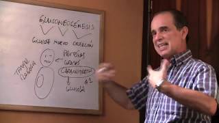 Episodio #636 ¿Qué es la Gluconeogénesis?