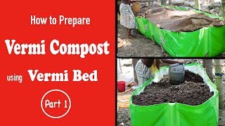 How to Prepare Vermicompost using Vermi Bed Part 1