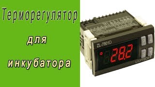 Терморегулятор из Китая, обзор и настройка.