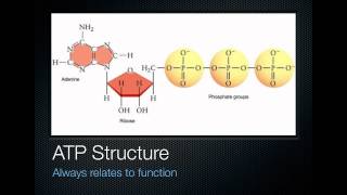 Energy Coupling